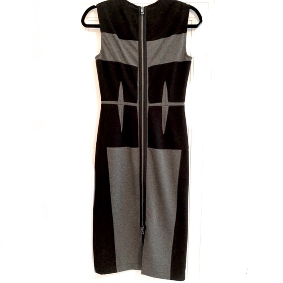 BCBG MaxAzaria | fitted bodycon dress with blocking detail, back zipper - Picture 3 of 7